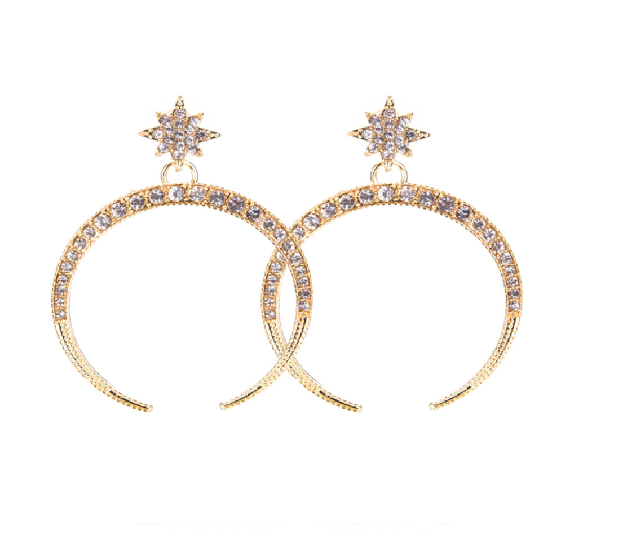 A Half Moon & Star Earrings
